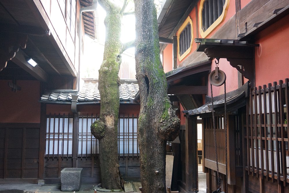 京都島原の角屋（角屋もてなしの文化美術館）_c0112559_8581681.jpg