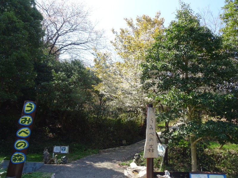 c0108460_20330051.jpg