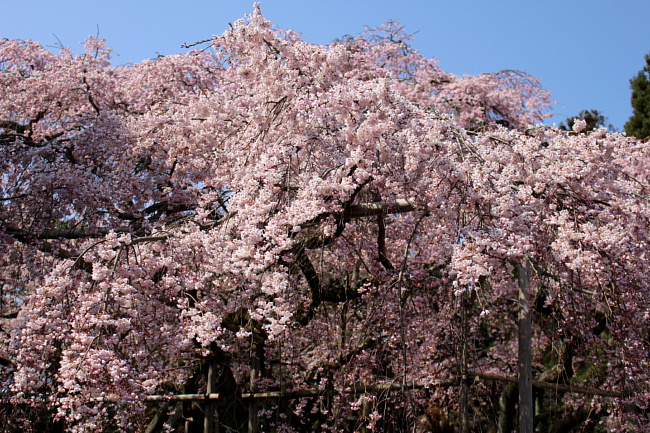 a0269761_1344023.jpg