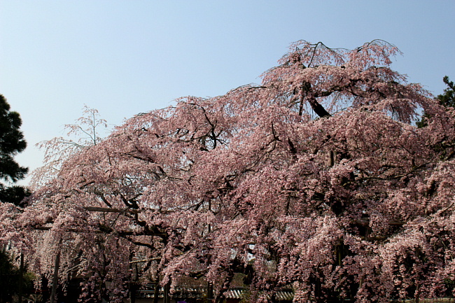 a0269761_13472855.jpg