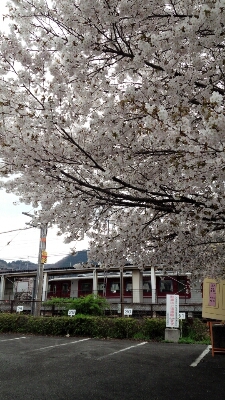 花より団子_b0328361_2025344.jpg