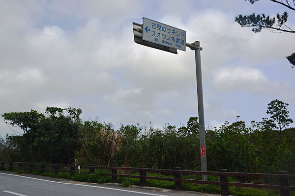 c0043361_6553026.jpg