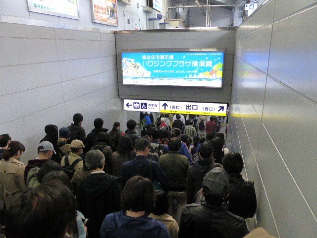 米軍横須賀基地桜祭りに行ってきた　①_c0100865_06411802.jpg