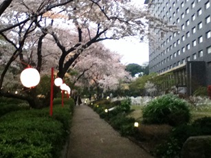 f0291565_1254150.jpg