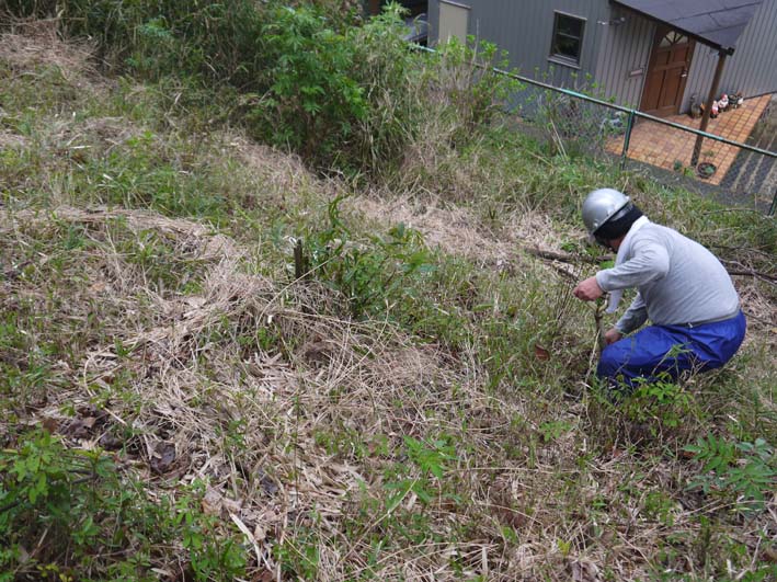 六国見山にヤマツツジの苗木植樹、総数100本突破：4・1_c0014967_1964384.jpg