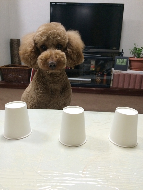 c0283778_1241138.jpg