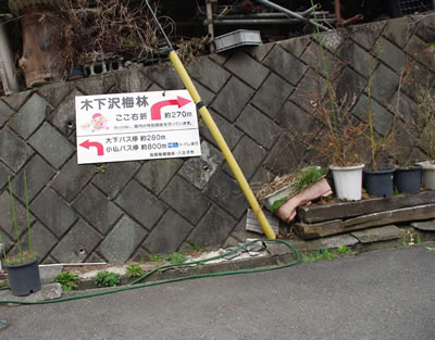 b0123486_17492520.jpg