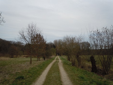 e0255187_25538.jpg