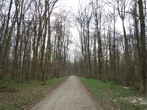 e0255187_26767.jpg