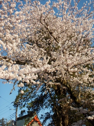 d0318191_22523933.jpg