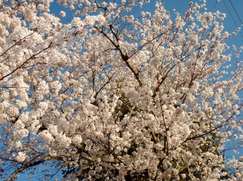 d0318191_22550430.jpg