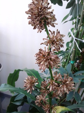 e0175295_042988.jpg