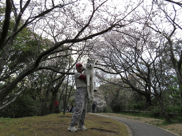 c0049299_21263711.jpg