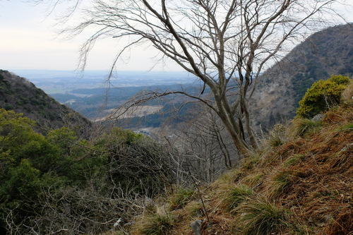 e0304001_22465627.jpg