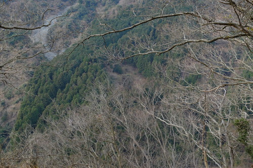 e0304001_22471166.jpg