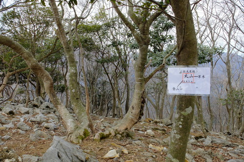 e0304001_2253692.jpg