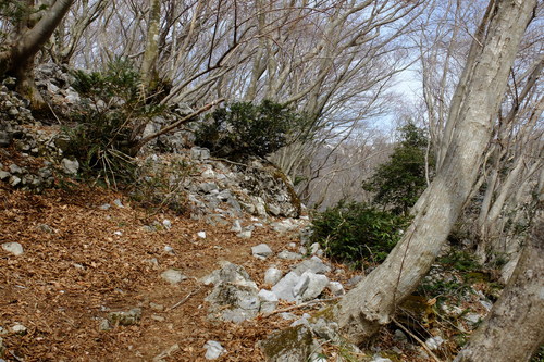 e0304001_2258486.jpg