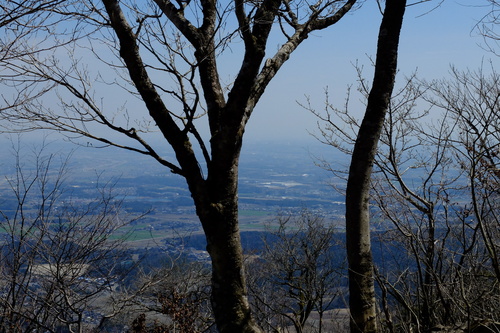 e0304001_2317245.jpg