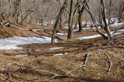 e0304001_2333349.jpg