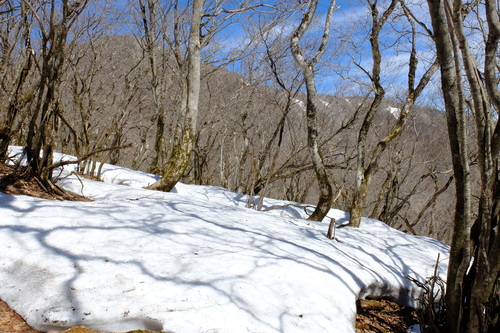 e0304001_234899.jpg