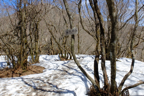 e0304001_2365463.jpg