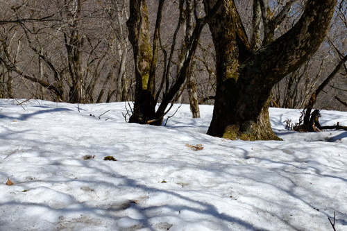 e0304001_2371515.jpg