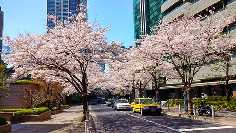 a0224502_19234523.jpg