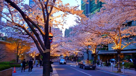 a0224502_19235817.jpg