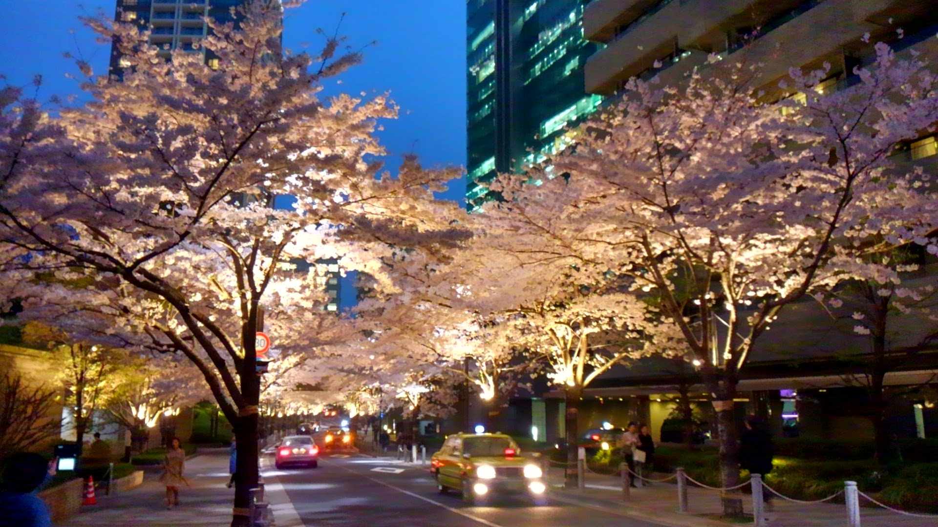 a0224502_19241016.jpg