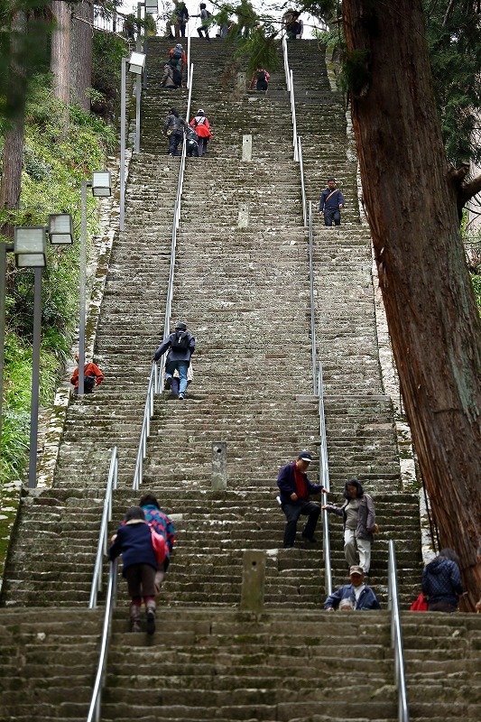 ２８７段を登り切れば涅槃 ねはん に達するという身延山久遠寺の石段 旅プラスの日記