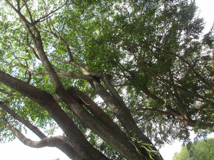 c0212604_073159.jpg