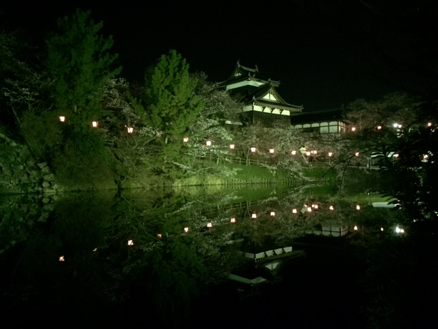 城跡・・・6分咲き_a0326106_10241192.jpg