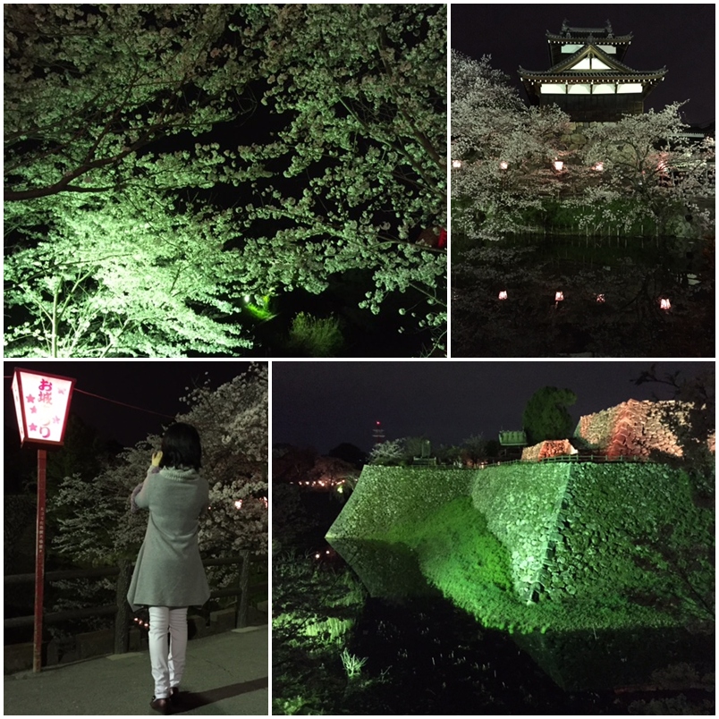 城跡・・・満開_a0326106_10252515.jpg