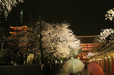 d0115106_16242157.jpg