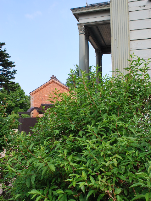 旧北海道庁函館支庁庁舎(函館の建築再見)_f0142606_22114174.jpg