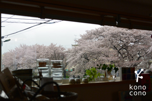 高橋紀子先生の春ランチレポート♪　と今日のお菓子・・・_f0321908_11413156.jpg