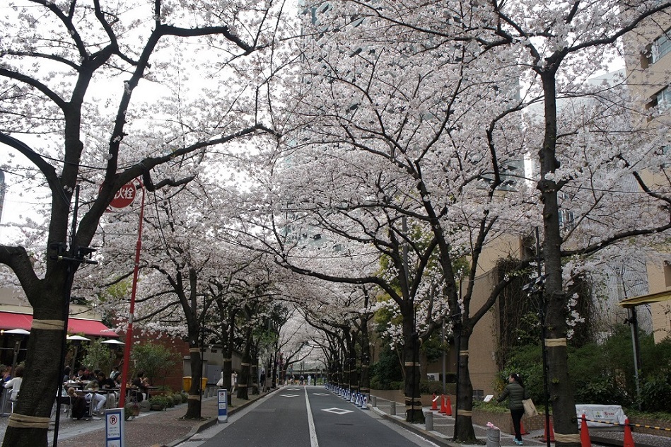 b0112909_191608.jpg