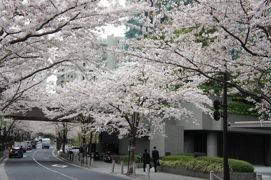 b0112909_19214371.jpg