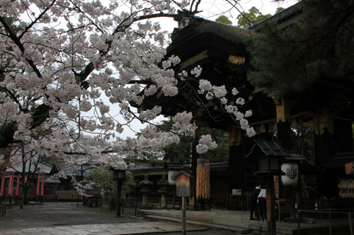 国立博物館と豊国神社 2015さくら情報19_e0048413_15334938.jpg