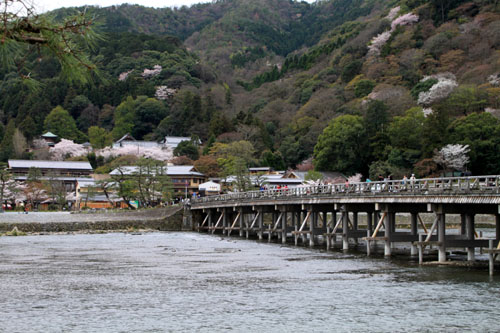 嵐山満開 2015さくら情報 20_e0048413_16353785.jpg