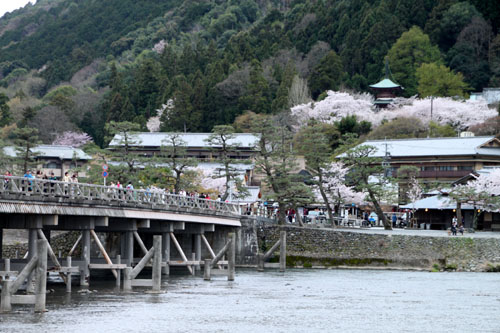 嵐山満開 2015さくら情報 20_e0048413_163653.jpg