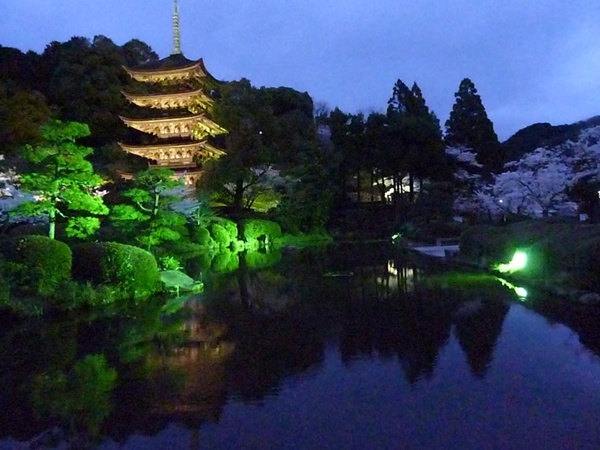 夜桜を見に・・・瑠璃香寺_d0025414_23335289.jpg