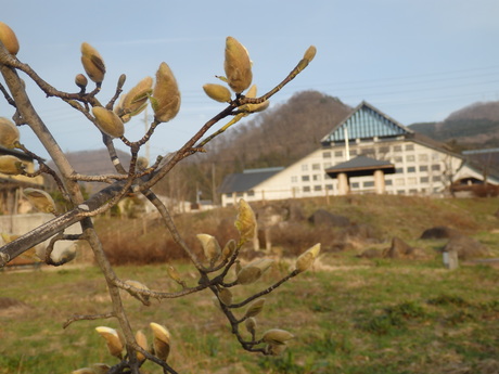 f0250515_1675014.jpg