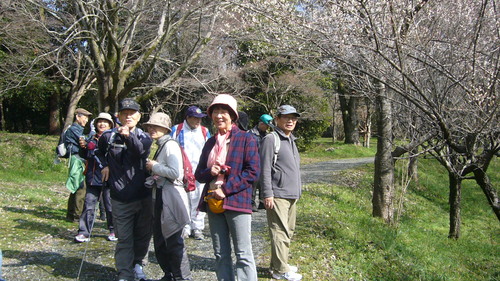 立田山に春が来た_d0109916_2120398.jpg