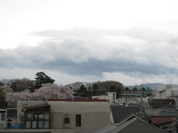 b0255217_12504693.jpg