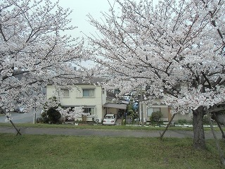 f0190020_09430430.jpg