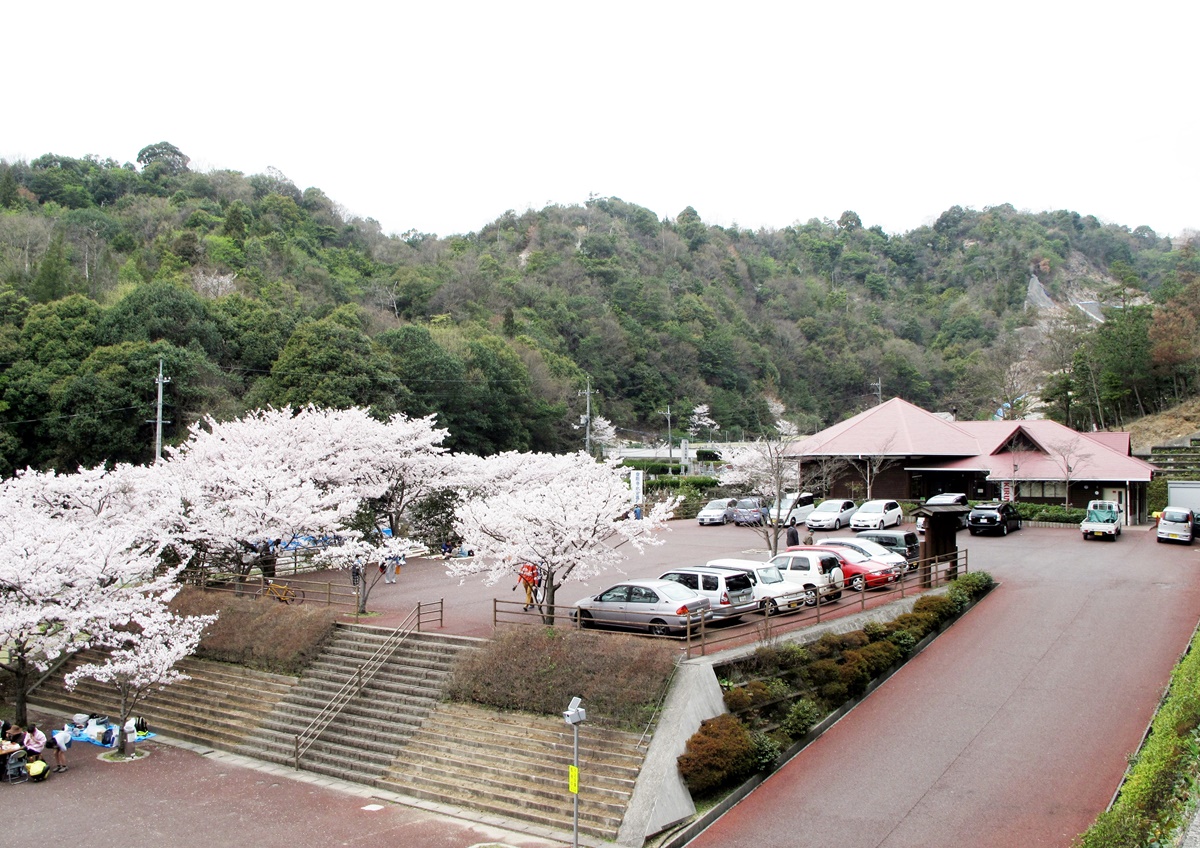 f0310221_7343730.jpg