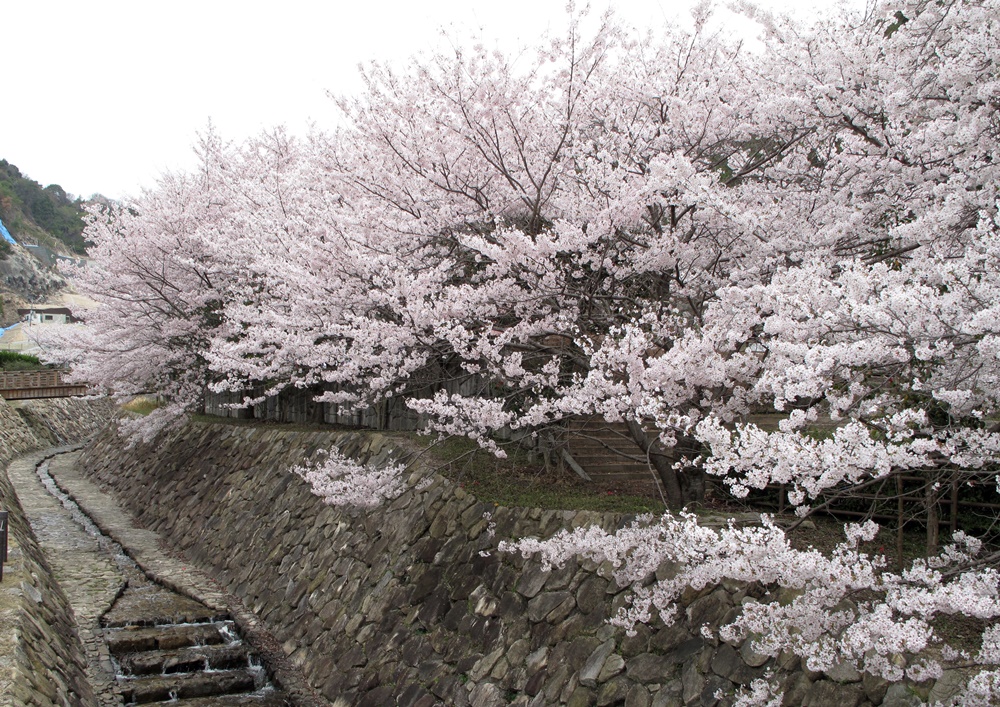 f0310221_853789.jpg