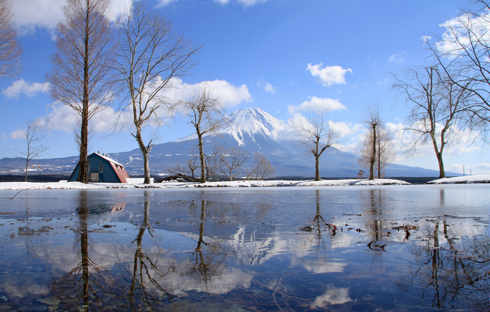 西湖冬景_c0346822_22101569.jpg