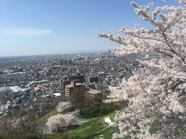 桜と、私の住む街☆_c0188525_2334373.jpg